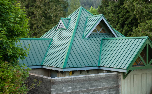 Best Roof Moss and Algae Removal  in Stallion Springs, CA