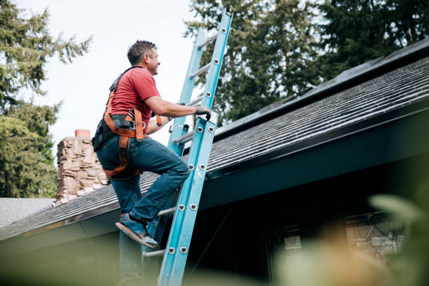 Best Roof Ventilation Installation  in Stallion Springs, CA